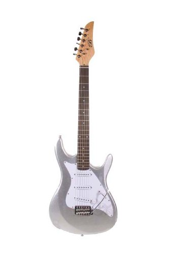 Assassin 39 Inch METALLIC SILVER Full Size Electric Guitar & Gig Bag, Strap, Cable, (Free eBook & DirectlyCheap(TM) Translucent Blue Medium Guitar Pick)