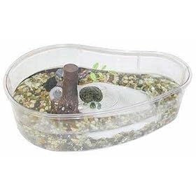 Reptile and Amphibian MANGROVE SWAMP 16.5L x 10.5W x 4.5H by Tom (Tominaga/Oscar)