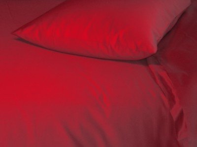 Organic Cotton Sateen Twin Flat Natural Sheet