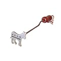Democrat Steak Branding Iron