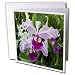 Flowers - Orchid - Greeting Cards-12 Greeting Cards with envelopes