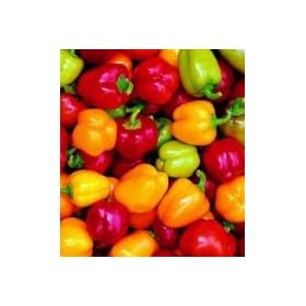 Mini Belle Pepper Mix - 50 Seeds - GARDEN FRESH PACK!