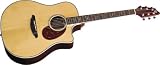 Breedlove Atlas Stage D25 / SR Acoustic Electric Guitar - B001GFD1E0