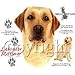 Yellow Labrador Retriever Adult T-Shirt