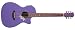 Luna Flora Acoustic Guitar, Passionflower