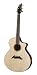 Breedlove Master Class Ed Gerhard Exotic Acoustic Guitar, Made in U.S.A.
