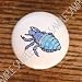 Bugs Insects Head Louse Drawer Pulls Knobs