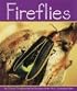 Fireflies (Insects)