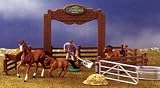 Winners Corral High Quality Collection Assorted 1 of 4 Styles