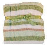 Carter's Super Cozy Green Stripe Blanket