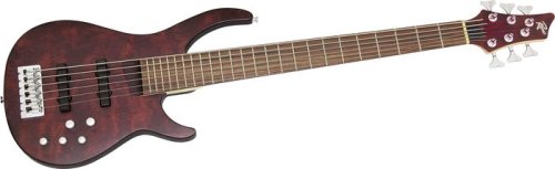 MusicalInstruments: Rogue LX406 Pro 6 String Bass, Black