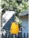 Beehive / Wasp Trap
