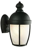 F3138-19, Outdoor Wall, 1-Light, Black