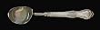International Wild Rose Sterling Silver Custom Ice Cream Scoop
