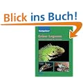 Gr�ne Leguane, Ratgeber: Und andere Leguane im Terrarium