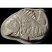Fish Pantastic Pan
