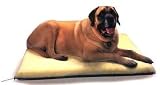 K and H X-Large Ortho Thermo Bed with Blue Bottom