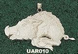 Univ Of Arkansas Razorback Giant Charm/Pendant -Choose from 14K/10K, Stainless Steel or Gold Plated