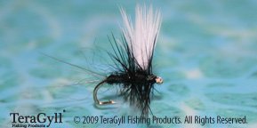 Thorax Trico
