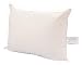 Velvet Soft Washable Pillows