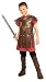 Child's Gladiator Costume, Large