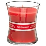 Essenza Home Fragrance Assorted 10 Ounce Candles 4 Pack