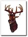 Happy Balls - Elk Antenna Topper (ELK)