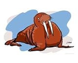 Waldo the Walrus Emerging Artists Photographic Poster Print by Jason Blackburn, 10x8