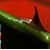 Night Song