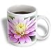 Patricia Sanders Flowers - Beauty Dahlia Rumi Floral Inspirational Quotes Poetry - Mugs