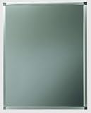 Sonia Metal Frame Rectangular Mirror