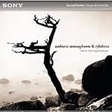  : Robert Rich: Ambient Atmospheres & Rhythms