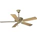 Progress Lighting P2503-42 52-Inch Performance Fan with 5 Blades and 3-Speed Reversible Motor, Seabrook