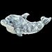 TY Classics Dipper  - dolphin