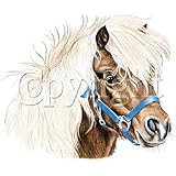 Horse~cute Little Face Youth T-Shirt