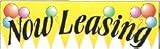 3' x 10' Now Leasing Banner