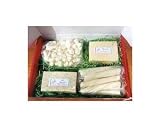 Decatur Dairy Havarti,Dill Havarti, Cheese Curds and String Cheese Gift Box