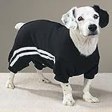 Casual Canine Sporty Sweatsuit (XS)