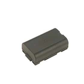 Battery-Biz Inc. 7.2 Volt Li-Ion Camcorder Battery