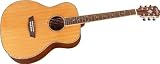 Washburn WD15 Series WG16S Acoustic Guitar