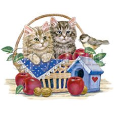 Kittens In Basket Adult T-Shirt