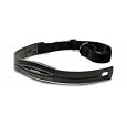 Garmin Heart-Rate Monitor