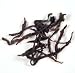 Royal Fenghuang Dancong Wulong Tea Leaves - Dragon Phoenix - Gourmet Oolong Teas