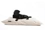 Lex&Max Bezug CHIC f�r BENCH Hundekissen-F�llung - Gr��e: 60 x 45 cm, Farbe: Beige