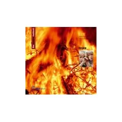 Das kreative Sachbuch Feuer (Lernmaterialien)