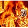 Das kreative Sachbuch Feuer (Lernmaterialien)