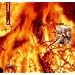 Das kreative Sachbuch Feuer (Lernmaterialien)