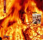 Das kreative Sachbuch Feuer (Lernmaterialien)