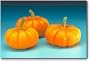 Jack Be Little Pumpkin 15 Seeds