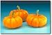 Jack Be Little Pumpkin 15 Seeds